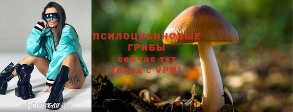 сатива Заводоуковск