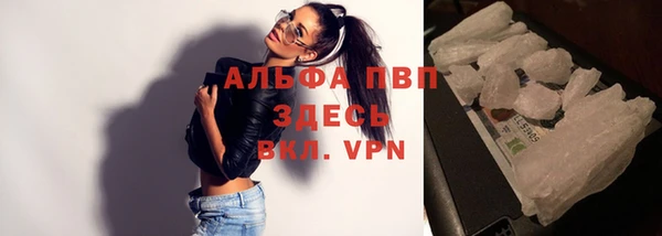 сатива Заводоуковск