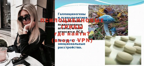 сатива Заводоуковск
