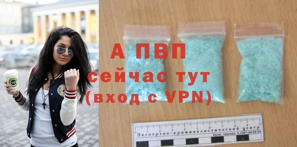 ECSTASY Заволжье