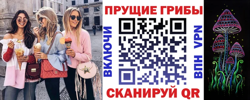 Псилоцибиновые грибы Psilocybine cubensis  Дятьково 