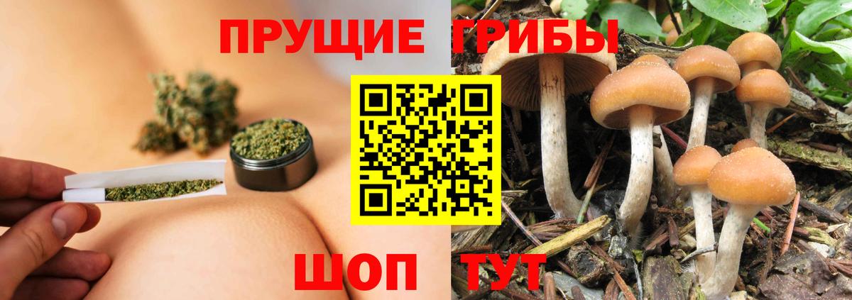 Галлюциногенные грибы ЛСД Дятьково